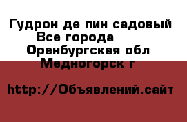 Гудрон де пин садовый - Все города  »    . Оренбургская обл.,Медногорск г.